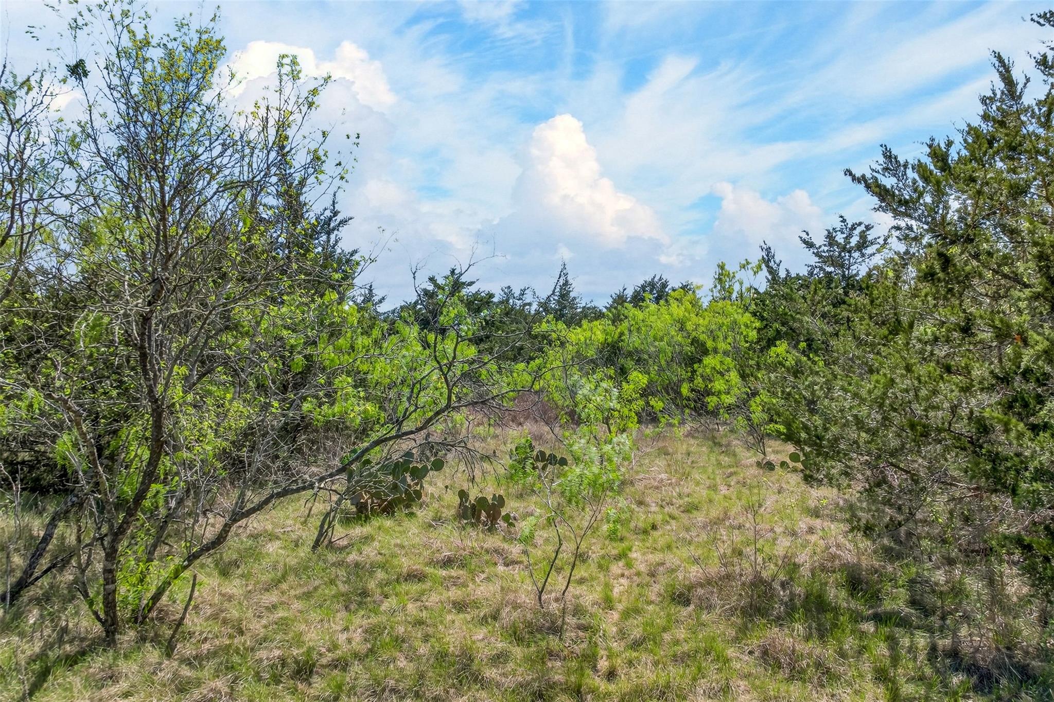 0000 Fm 1854 Road Dale TX 78616