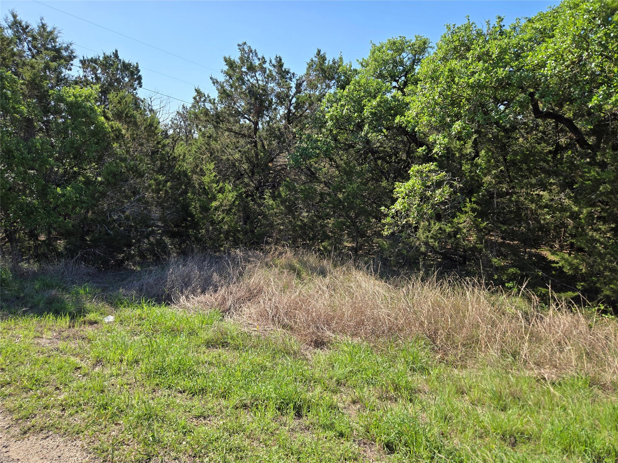 343 Falconwood Drive San Marcos TX 78666