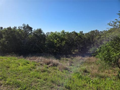 343 Falconwood Drive San Marcos TX 78666
