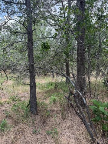 Lot 686 Kawainui Lane Bastrop TX 78602