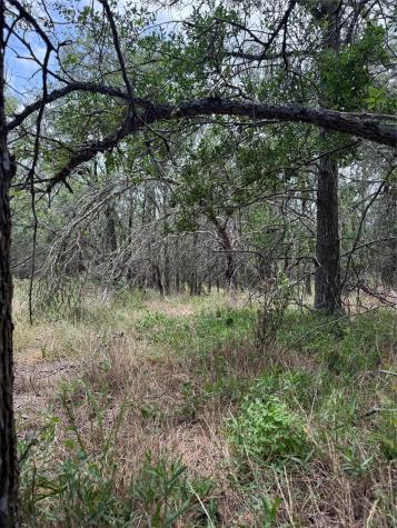 Lot 686 Kawainui Lane Bastrop TX 78602