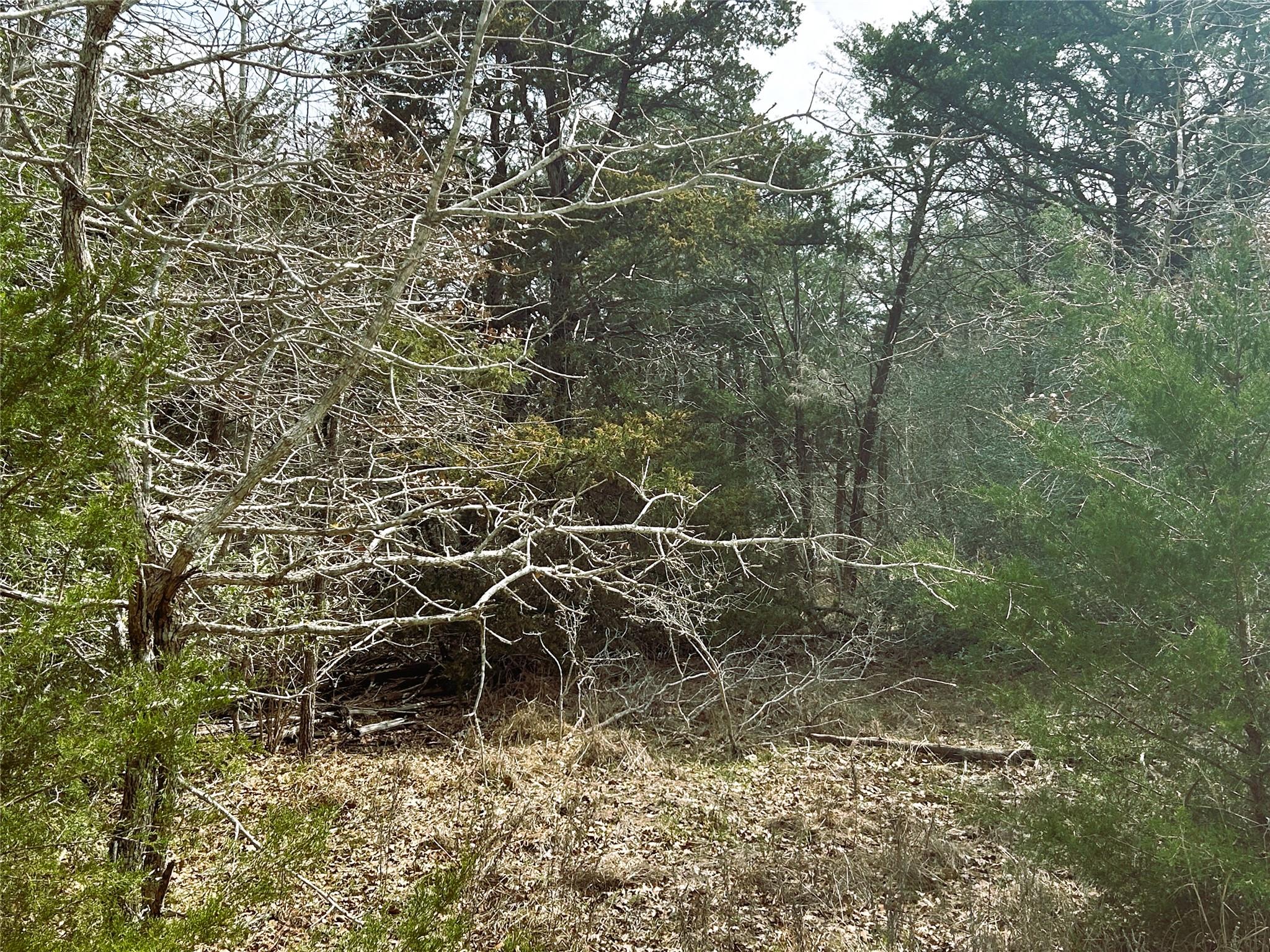 1741 Lange Road Ledbetter TX 78946