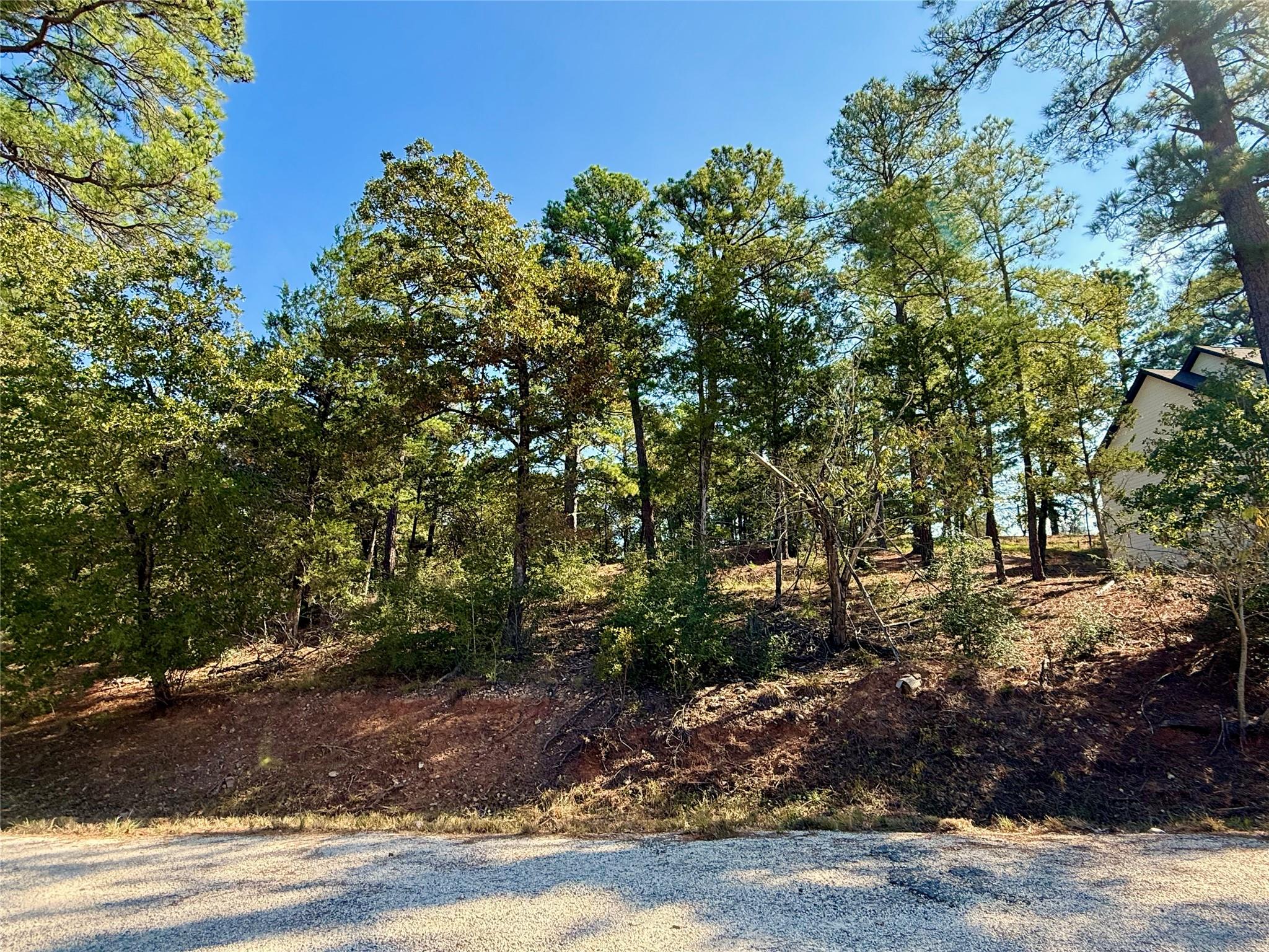 109 And 115 Olomana Court Bastrop TX 78602