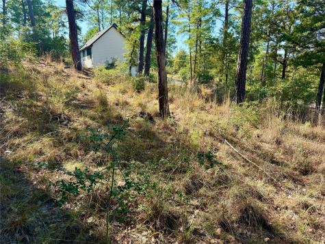109 And 115 Olomana Court Bastrop TX 78602