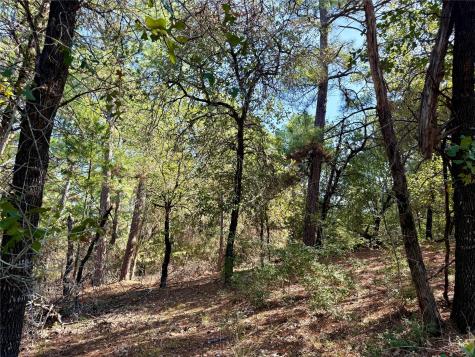 109 And 115 Olomana Court Bastrop TX 78602