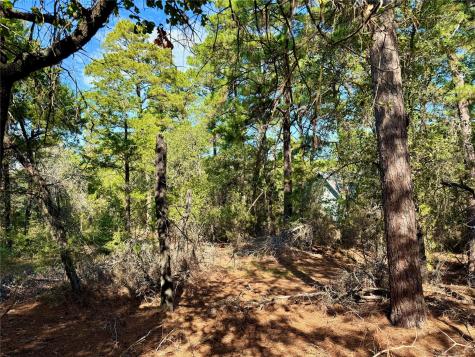 109 And 115 Olomana Court Bastrop TX 78602