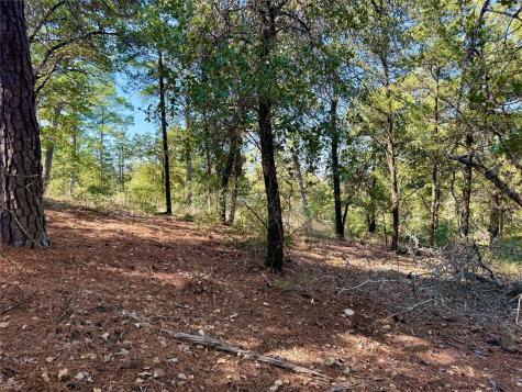 109 And 115 Olomana Court Bastrop TX 78602