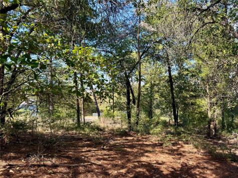 109 And 115 Olomana Court Bastrop TX 78602