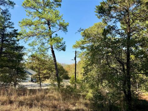 109 And 115 Olomana Court Bastrop TX 78602