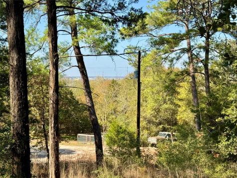 109 And 115 Olomana Court Bastrop TX 78602