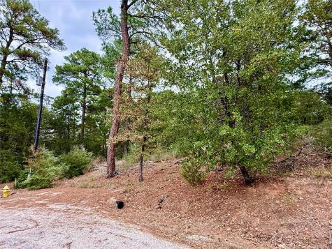 109 And 115 Olomana Court Bastrop TX 78602