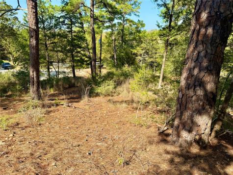 109 And 115 Olomana Court Bastrop TX 78602