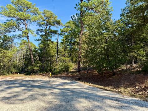 109 And 115 Olomana Court Bastrop TX 78602