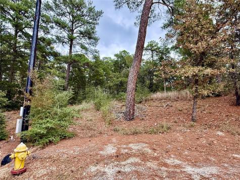 109 And 115 Olomana Court Bastrop TX 78602
