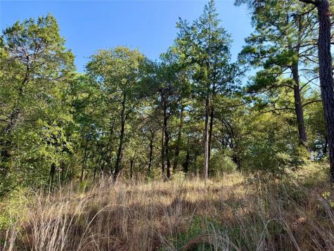 109 And 115 Olomana Court Bastrop TX 78602