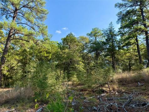109 And 115 Olomana Court Bastrop TX 78602
