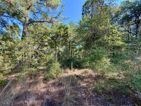 109 And 115 Olomana Court Bastrop TX 78602