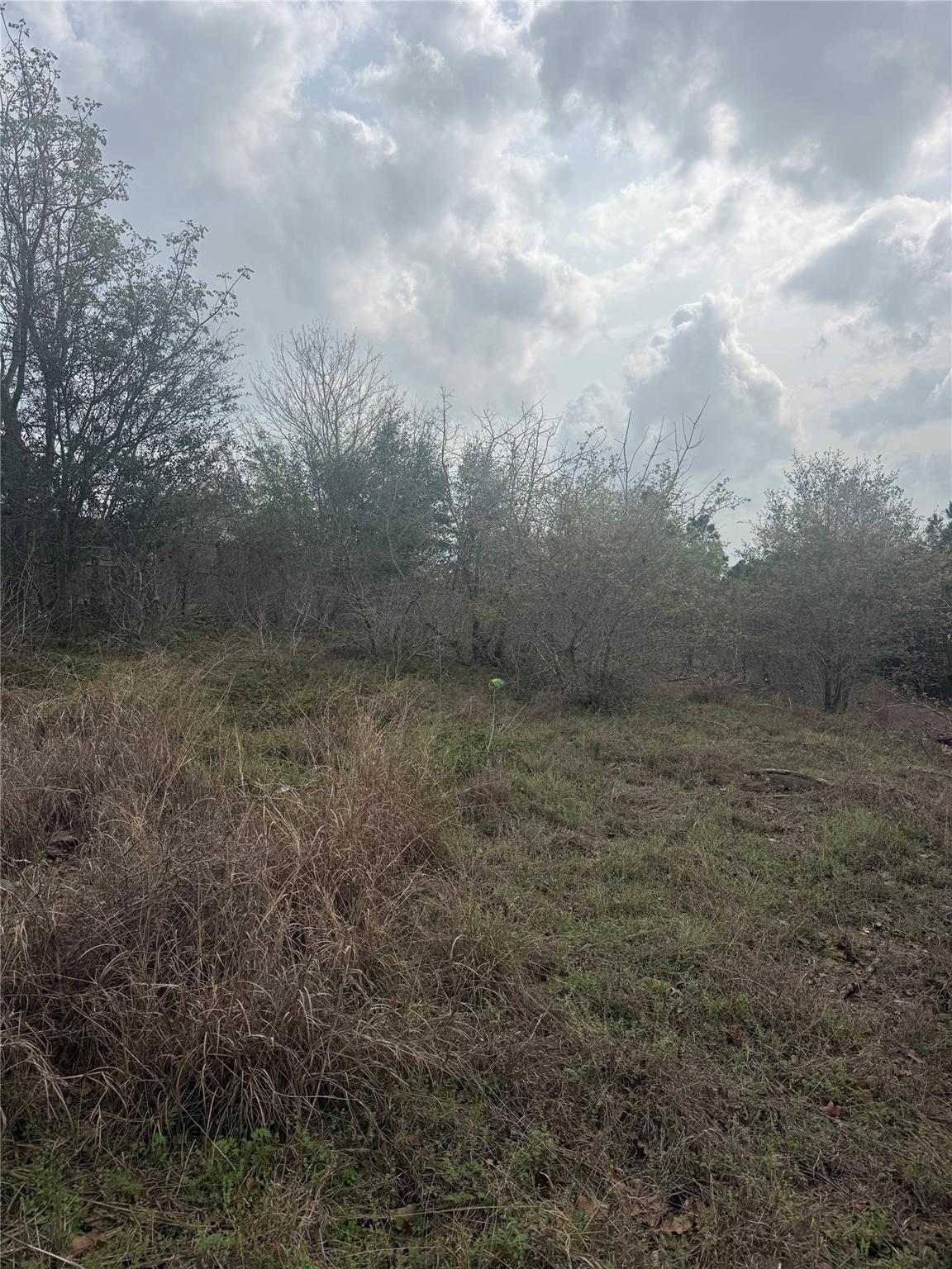 Tbd Mauna Kea Lane Bastrop TX 78602