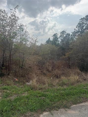 Tbd Mauna Kea Lane Bastrop TX 78602