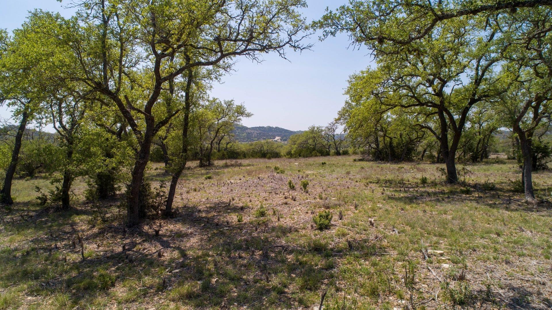 101 Bluff Ridge Trail Blanco TX 78606