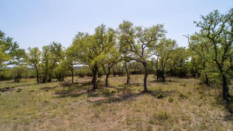 101 Bluff Ridge Trail Blanco TX 78606