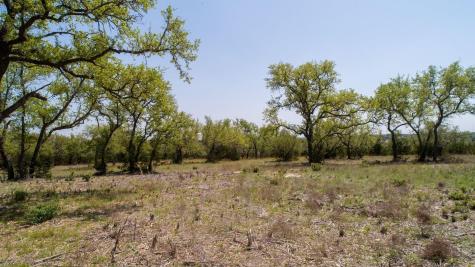 101 Bluff Ridge Trail Blanco TX 78606