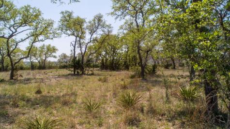 101 Bluff Ridge Trail Blanco TX 78606