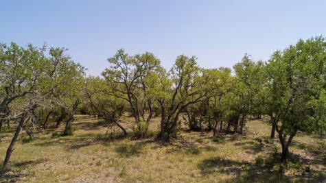 101 Bluff Ridge Trail Blanco TX 78606