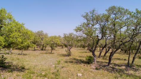 101 Bluff Ridge Trail Blanco TX 78606
