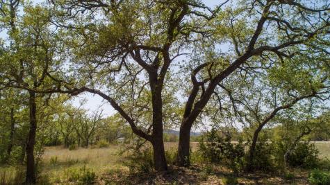 101 Bluff Ridge Trail Blanco TX 78606