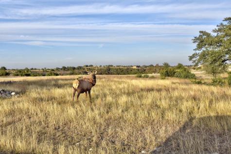101 Bluff Ridge Trail Blanco TX 78606