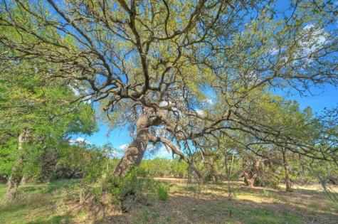 Star Gazer Lot 8 Stargazer Drive Lampasas TX 76550