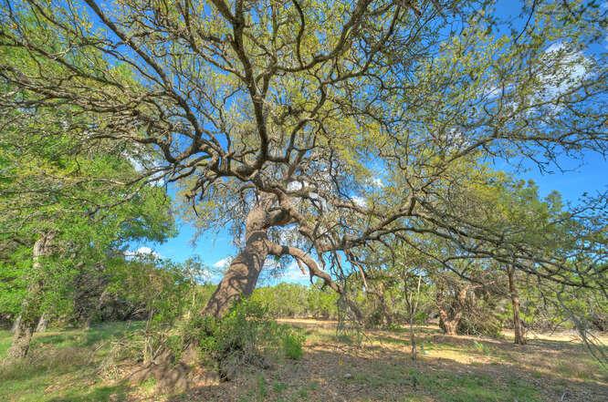 Star Gazer Lot 8 Stargazer Drive Lampasas TX 76550