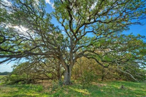 Star Gazer Lot 8 Stargazer Drive Lampasas TX 76550