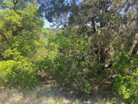 8617 Bar-k Ranch Road Lago Vista TX 78645
