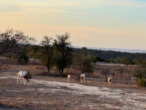 Lot 180 Lookout Mountain Road Johnson City TX 78636