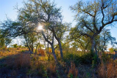 Lot 180 Lookout Mountain Road Johnson City TX 78636