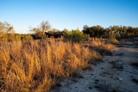 Lot 180 Lookout Mountain Road Johnson City TX 78636