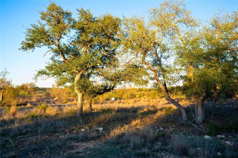 Lot 180 Lookout Mountain Road Johnson City TX 78636