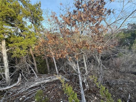 Lot 180 Lookout Mountain Road Johnson City TX 78636