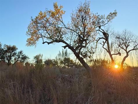 Lot 180 Lookout Mountain Road Johnson City TX 78636