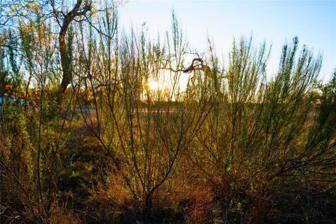 Lot 180 Lookout Mountain Road Johnson City TX 78636