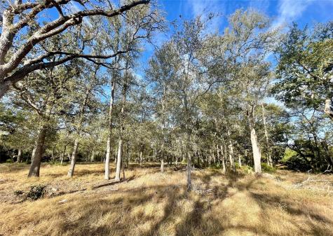 Tbd League Line Road Paige TX 78659