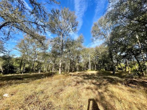 Tbd League Line Road Paige TX 78659