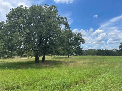 Tbd League Line Road Paige TX 78659