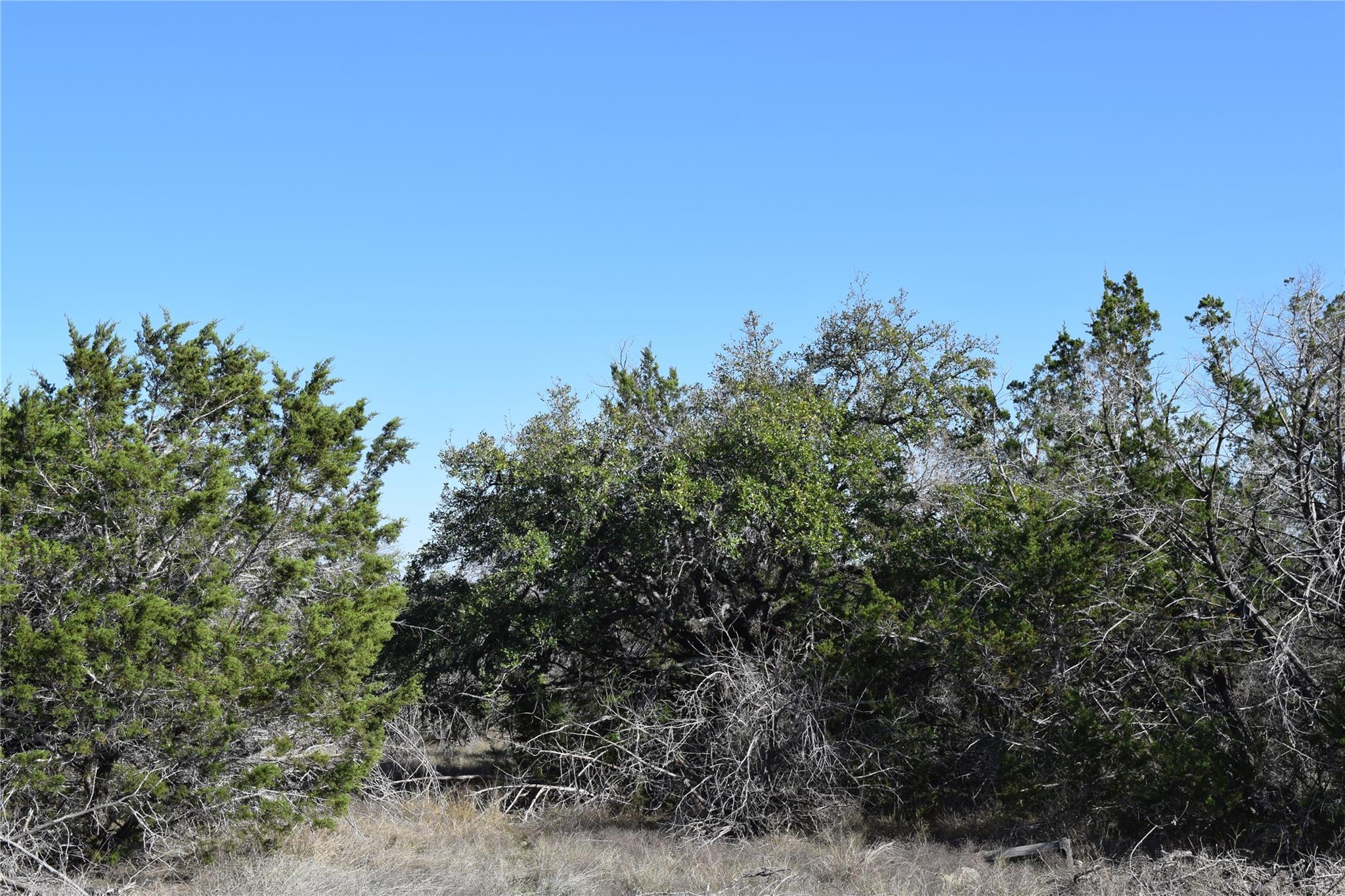 Tbd Cheyenne Trail Wimberley TX 78676