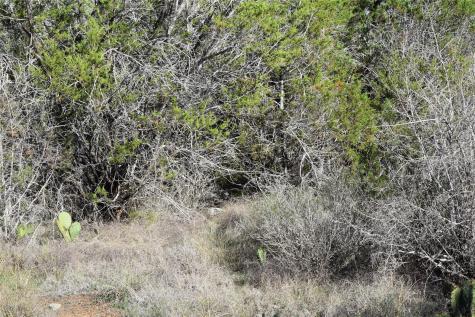Tbd Cheyenne Trail Wimberley TX 78676