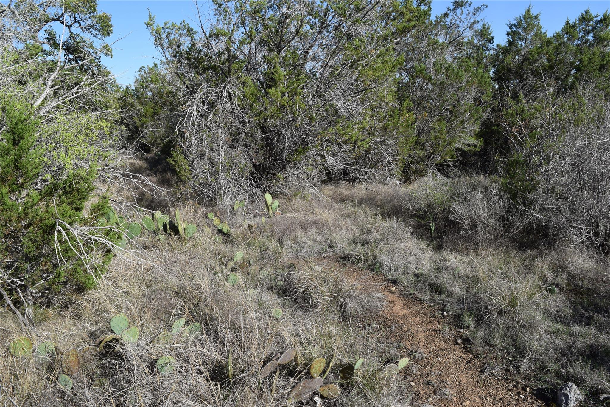 Tbd Cheyenne Trail Wimberley TX 78676