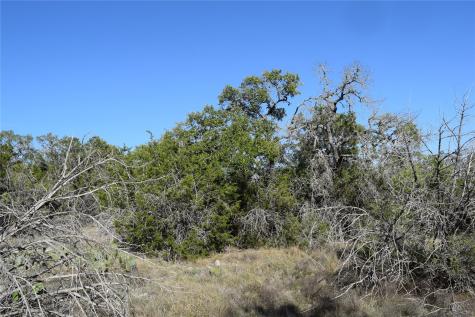 Tbd Cheyenne Trail Wimberley TX 78676