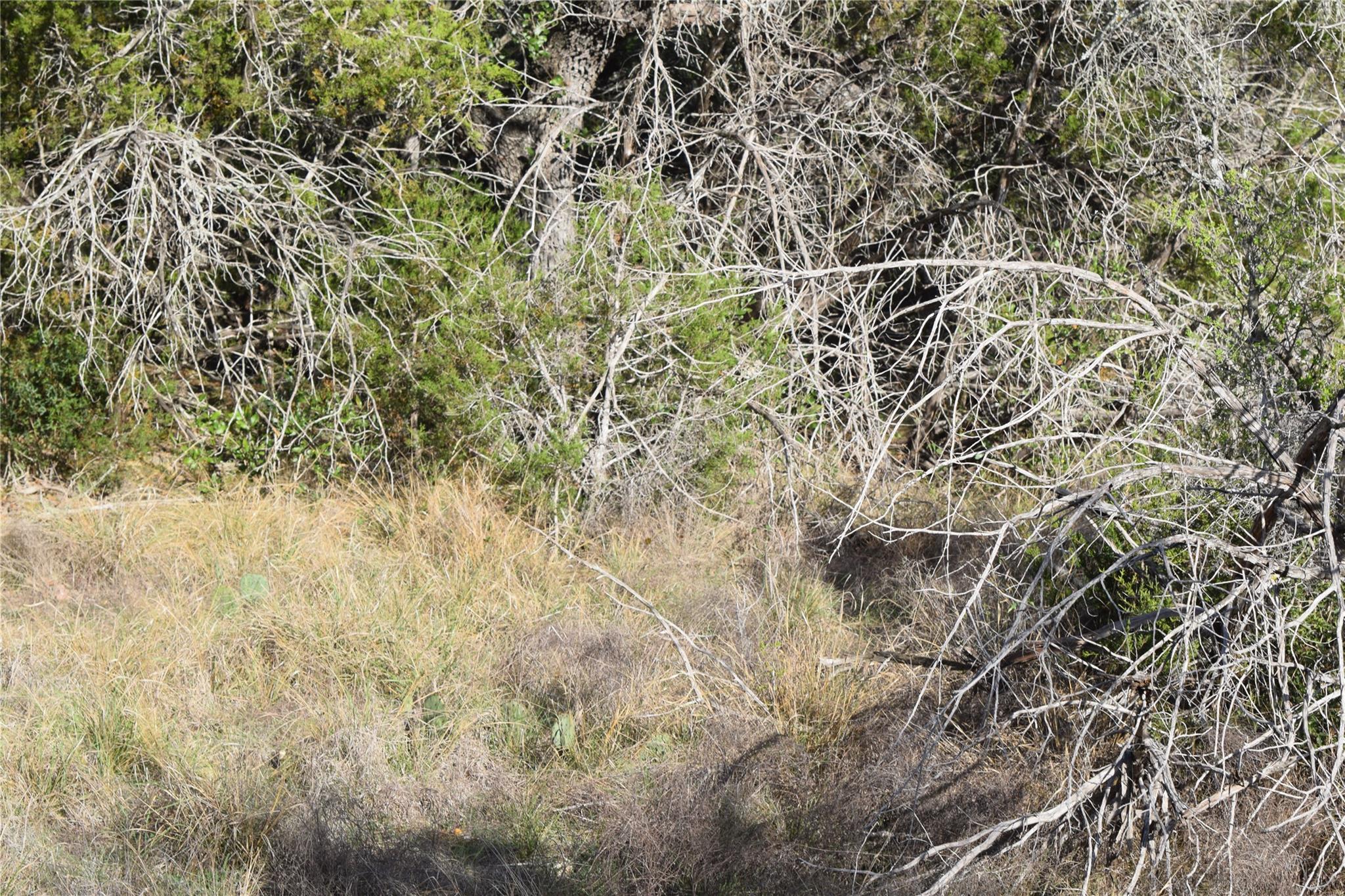 Tbd Cheyenne Trail Wimberley TX 78676